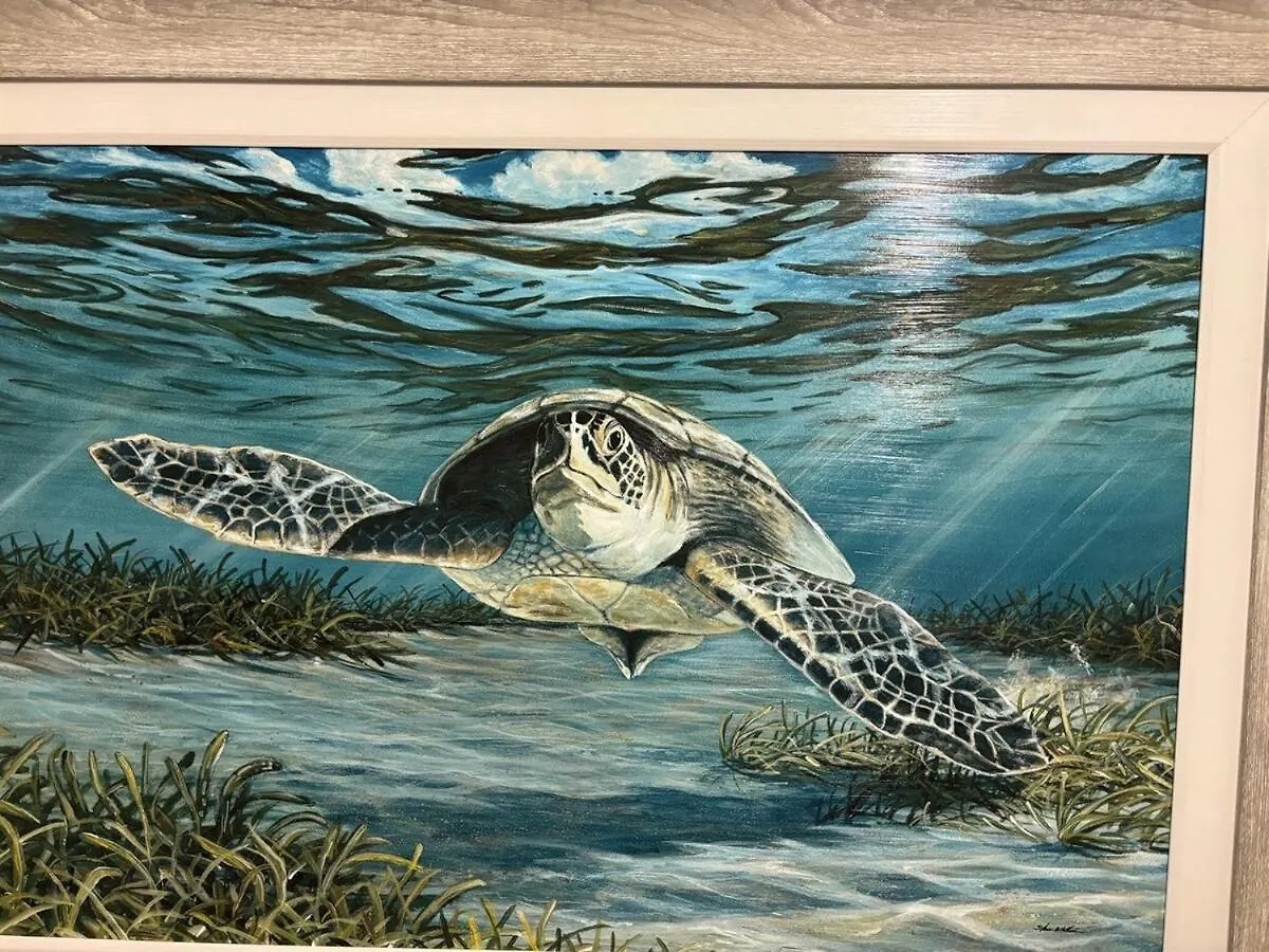 Apartment Turtle Cove Calypso 3-508, Beach View, Hot Tub, Heated Pool Panama City Beach United States
